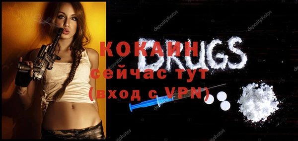 jwh Гатчина