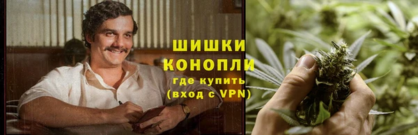гашик Новозыбков