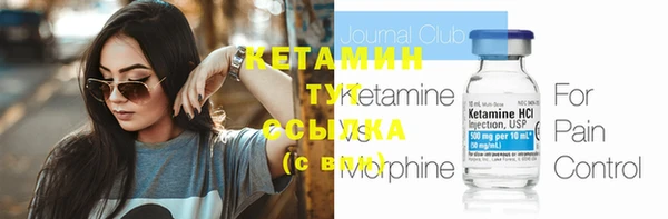 гашик Новозыбков