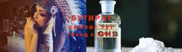 гашик Новозыбков