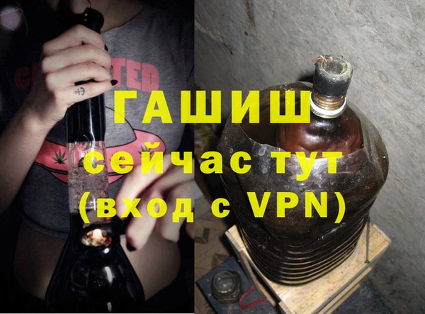 гашик Новозыбков