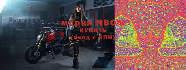 гашик Новозыбков