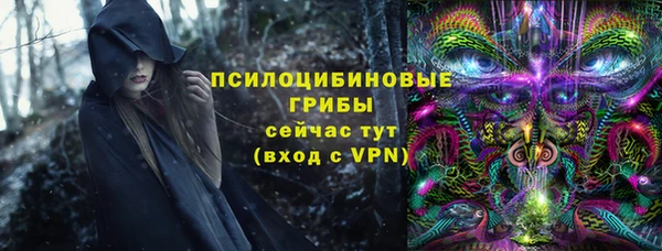 гашик Новозыбков