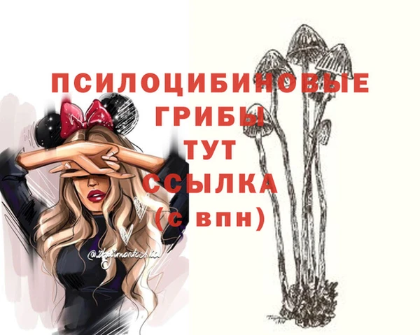 прущая мука Новодвинск