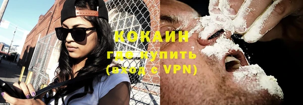 гашик Новозыбков
